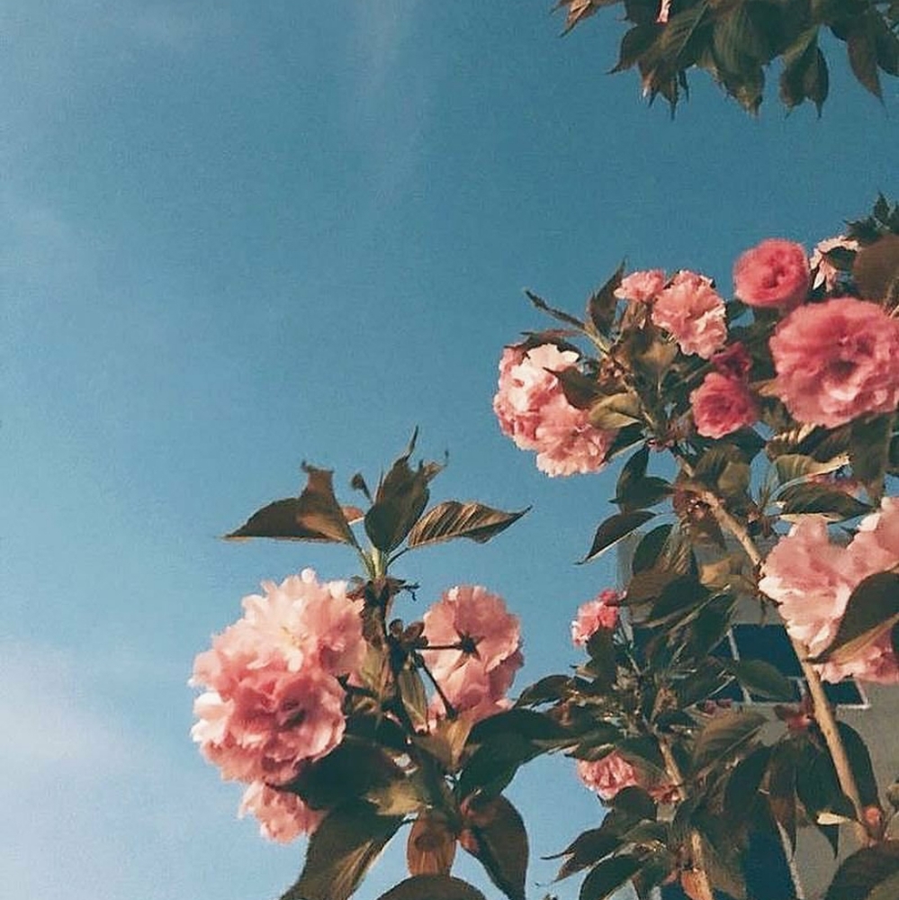 Meet your Posher, Mariah